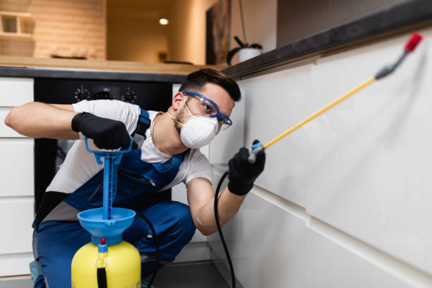 Best Pest Removal Services  in Moreauville, LA
