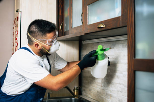 Best Bed Bug Extermination  in Moreauville, LA