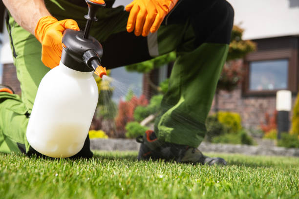 Best Best Pest Control Companies  in Moreauville, LA