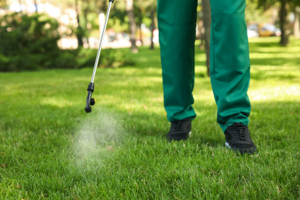 Best Mosquito Control Services  in Moreauville, LA