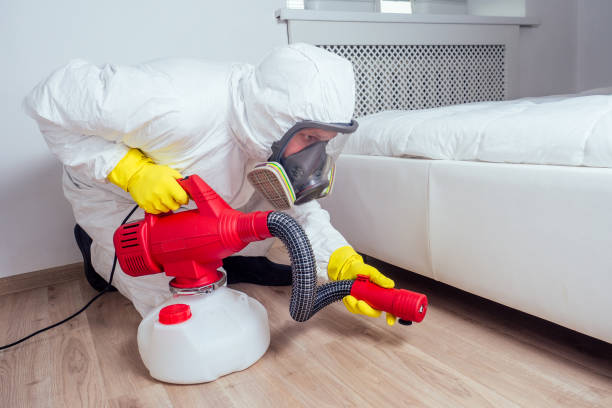 Best Mosquito Control Services  in Moreauville, LA