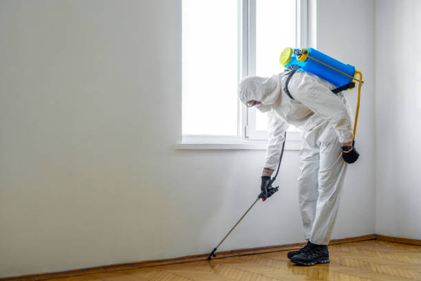Best Pest Control Near Me  in Moreauville, LA