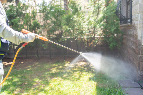 Best Wasp Removal Services  in Moreauville, LA