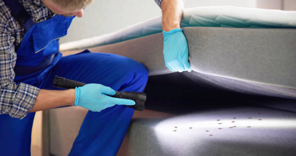 Flea Control Services in Moreauville, LA