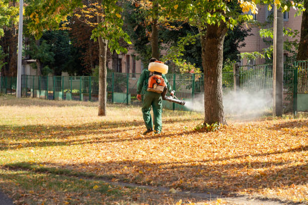 Best Residential Pest Control  in Moreauville, LA