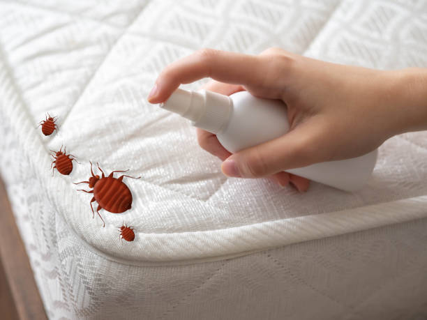 Best Commercial Pest Control Services  in Moreauville, LA