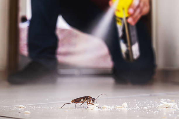 Best Commercial Pest Control Services  in Moreauville, LA