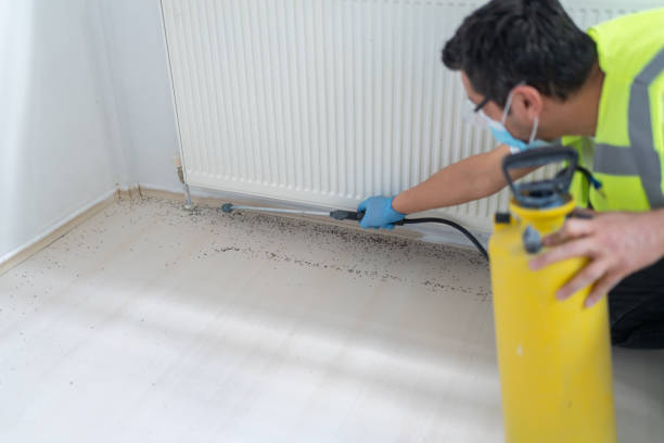 Best Emergency Pest Control  in Moreauville, LA
