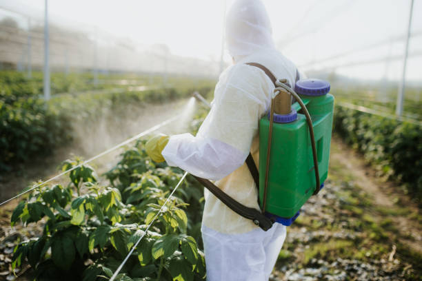 Best Pest Control Near Me  in Moreauville, LA